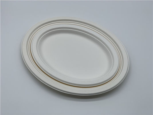 10/12 inch Biodegradable Sugarcane Bagasse Plates