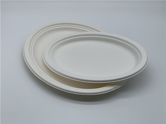 10/12 inch Biodegradable Sugarcane Bagasse Plates