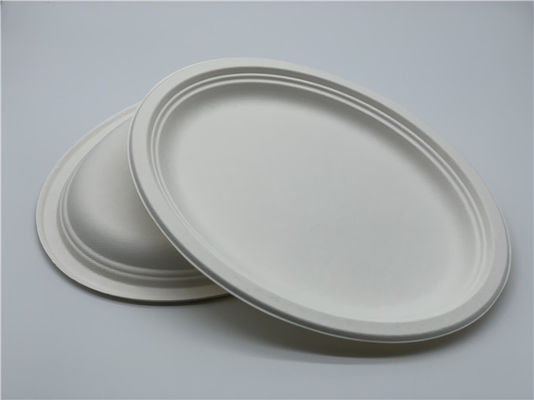 10/12 inch Biodegradable Sugarcane Bagasse Plates