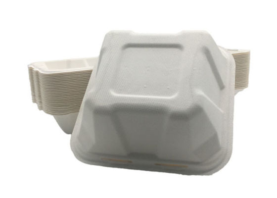 6 Inch Sugarcane Eco Hinged  Biodegradable Takeout Containers