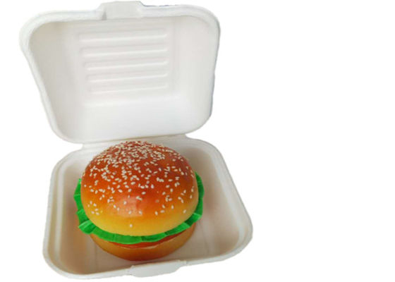 Bagasse Burger 6 Inch Biodegradable Takeout Containers