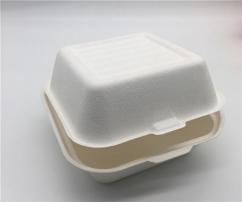 Bento   6x6 Inch 21g  Biodegradable Boxes For Food