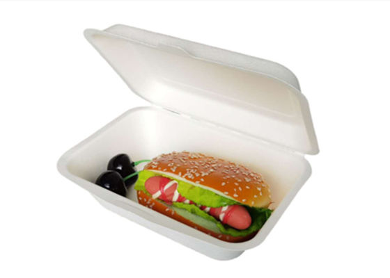 Eco Friendly Bagasse Clamshell Containers 271x182x45mm