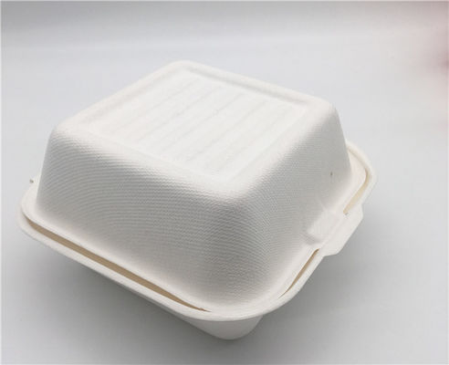 6" Disposable Sugarcane Bagasse Hamburger Clamshell Box