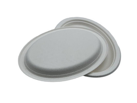 10/12 inch Biodegradable Sugarcane Bagasse Plates