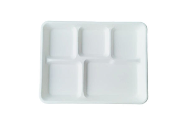 5 Compartment Biodegradable Serving Trays