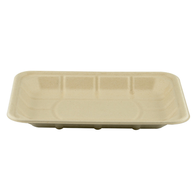 Sugarcane Bagasse Compostable Paper Food Tray 8*6inch  eco-friendly 100% biodegradable